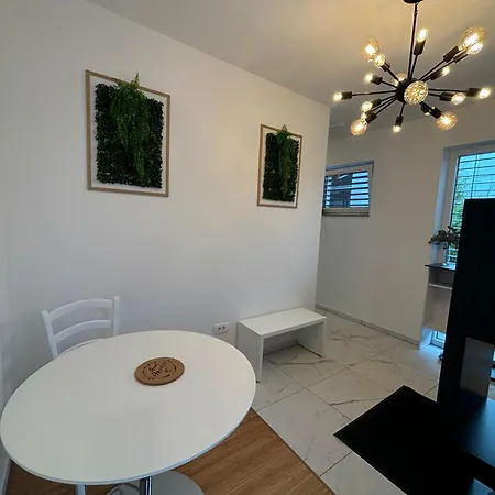 Apartmaji Cepon Ljubljana Room photo